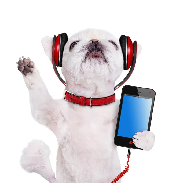 Hond hoofdtelefoon. Isoleren op de witte achtergrond. — Stockfoto