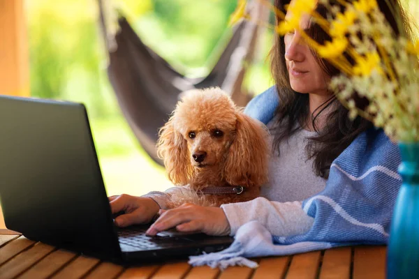 Ung Frilansande Kvinna Som Jobbar Vid Datorn Fjällstugan Begreppet Arbetsplats — Stockfoto