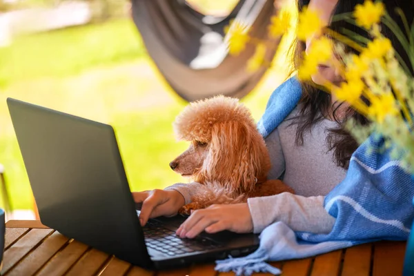 Jonge Freelancer Vrouw Die Werkt Aan Computer Mountain Chalet Concept — Stockfoto