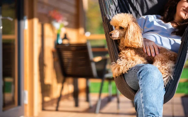 Kvinna Med Hund Vilar Den Hängande Stolen Terrassen Fjällstuga — Stockfoto