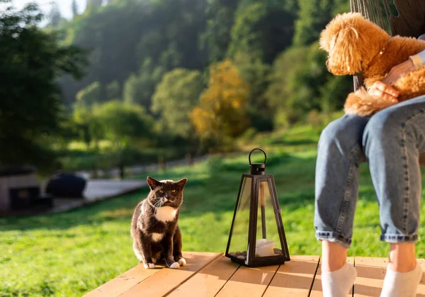 Donna Con Cane Gatto Appoggiata Sulla Sedia Sospesa Sulla Terrazza — Foto Stock