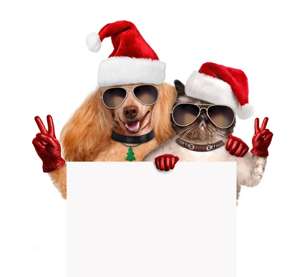 Dog and cat with peace fingers in red Christmas hats — Stock Photo, Image