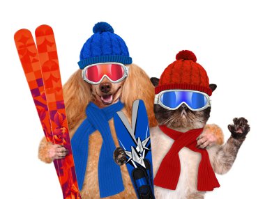 Kayaklar bir kediyle köpekle