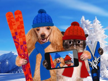 Bir akıllı telefon ile birlikte bir selfie alarak kedi ve köpek şapkalar