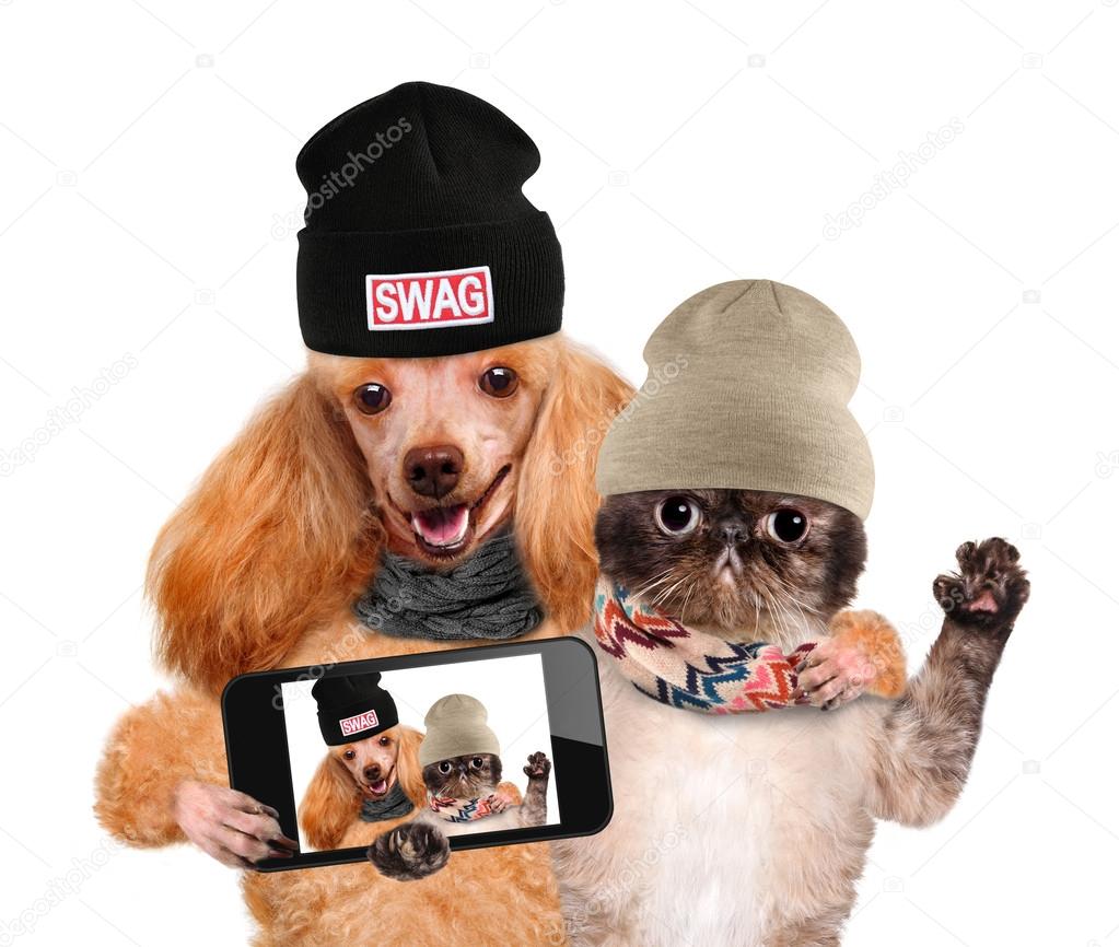 Dog with cat taking a selfie together with a smartphone.