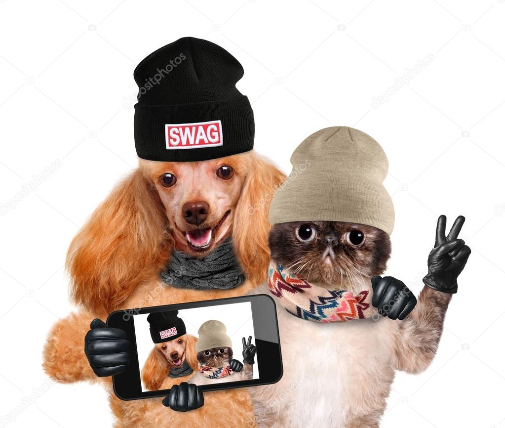 Dog with cat taking a selfie together with a smartphone