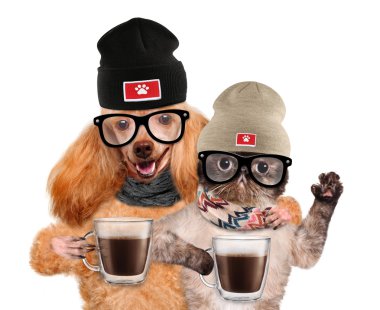 Kakao bir fincan içinde paws tutan bir kedi, köpek