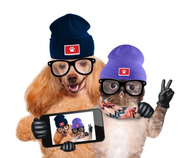 bir akıllı telefon ile birlikte bir selfie alarak kedi ile köpek.