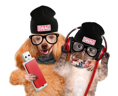 Kedi ve köpek kulaklık.