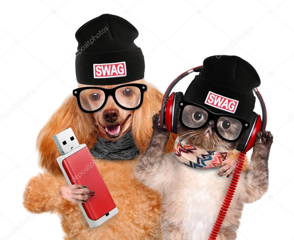 Cat and dog headphones.