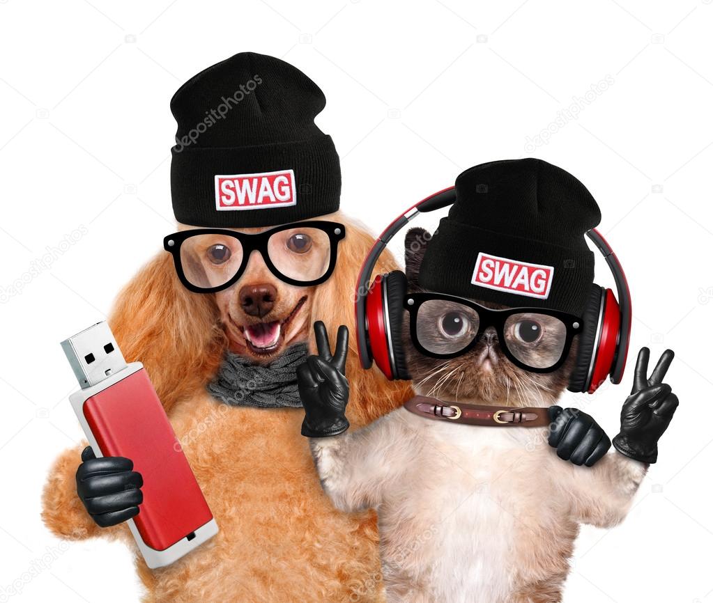 Cat and dog headphones.