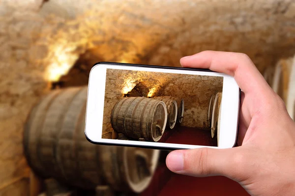 Manos tomando fotos barricas de vino viejo con teléfono inteligente . —  Fotos de Stock