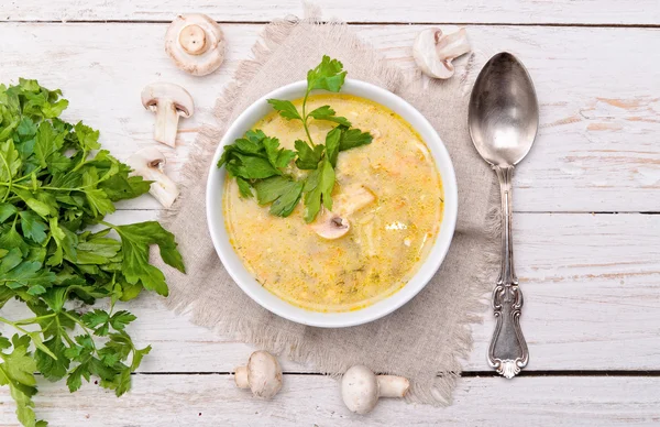 Sopa de cogumelos . — Fotografia de Stock