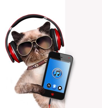 Kedi kulaklık.