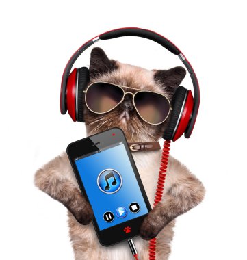 Kedi kulaklık.