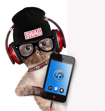 Kedi kulaklık.