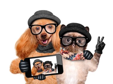bir akıllı telefon ile birlikte bir selfie alarak kedi ile köpek.