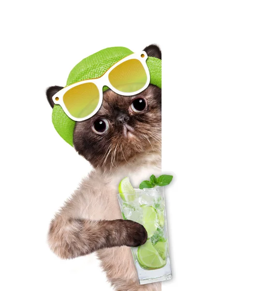 Cat with lemonade. — Stock Photo, Image