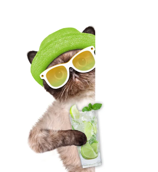 Cat with lemonade. Stock Photo