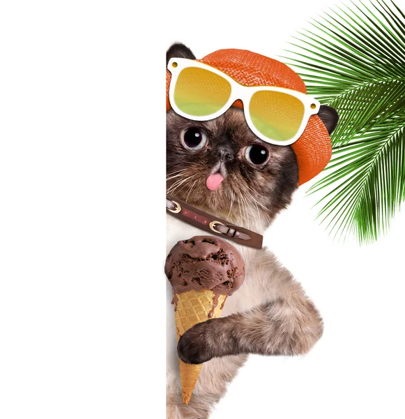 Gatto mangiare gelato . — Foto Stock