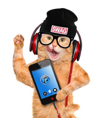 Kedi kulaklık.