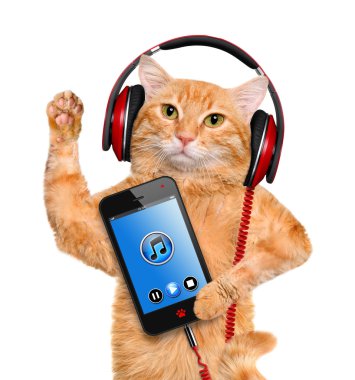 Kedi kulaklık.