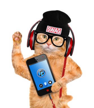 Kedi kulaklık.
