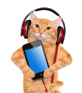 Kedi kulaklık.