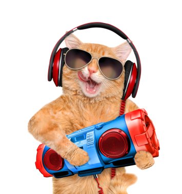 Kedi kulaklık teyp ile.