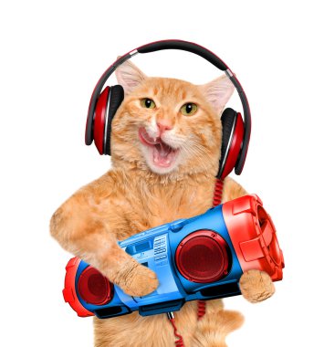 Kedi kulaklık teyp ile.