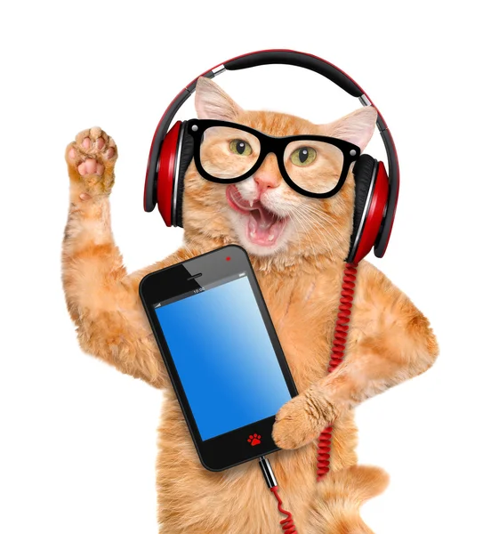 Cat headphones. — Stock Photo, Image