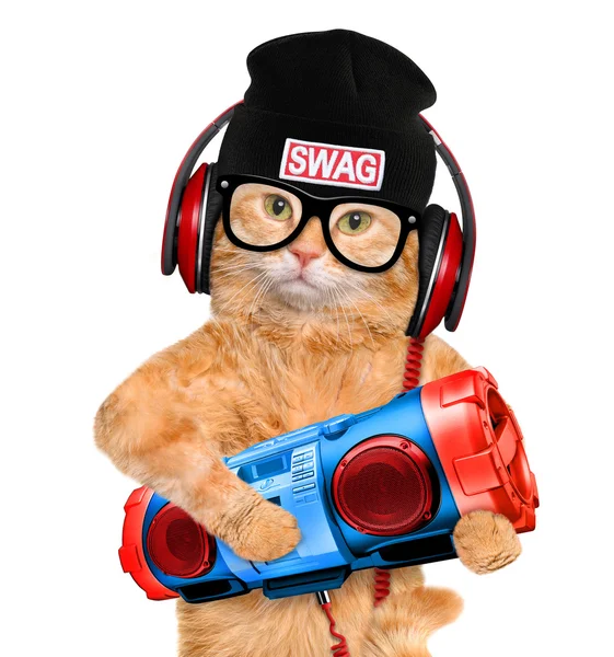 Cat headphones with tape recorder. — Stock Photo, Image