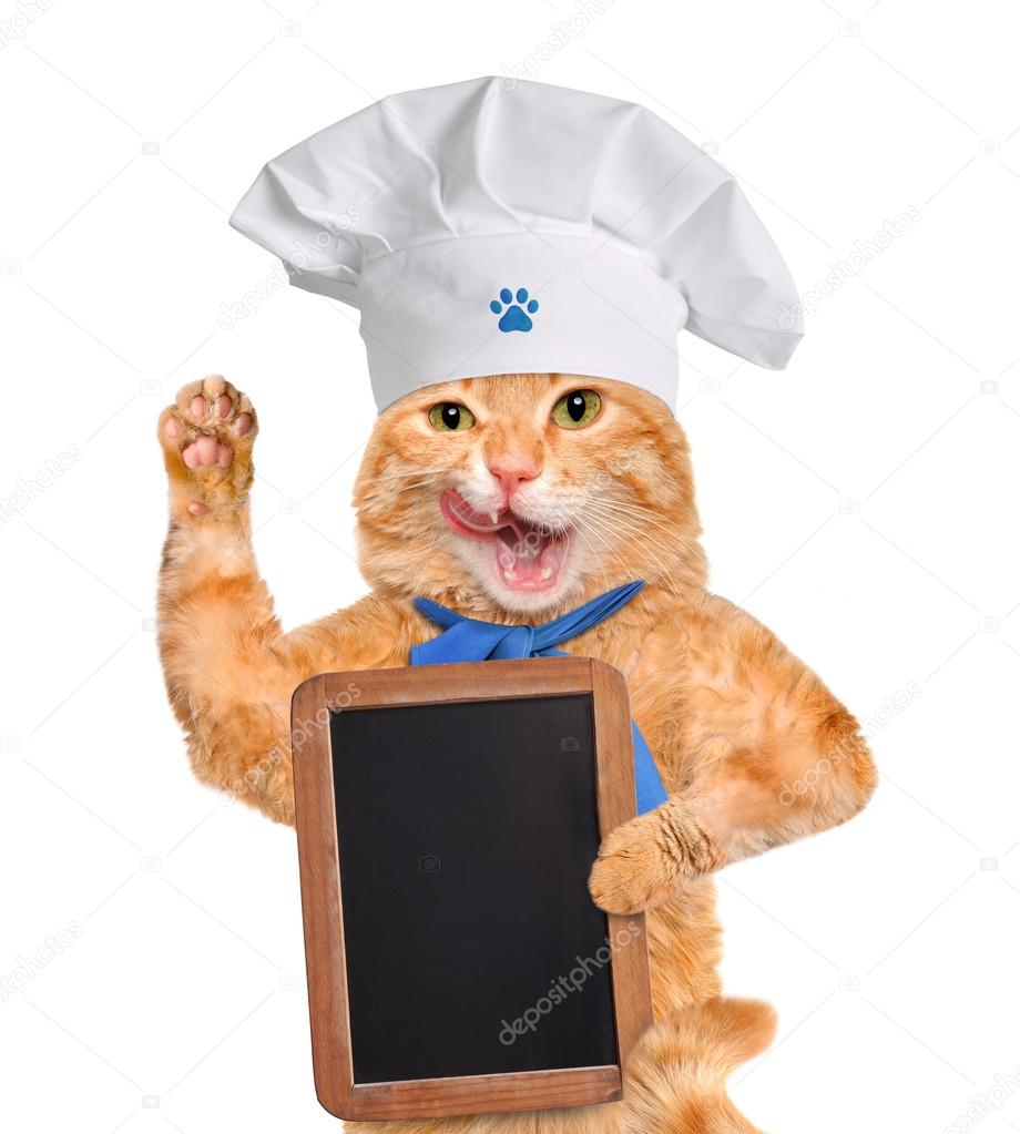 Chat Cuisinier Images Libres De Droit Photos De Chat Cuisinier Depositphotos