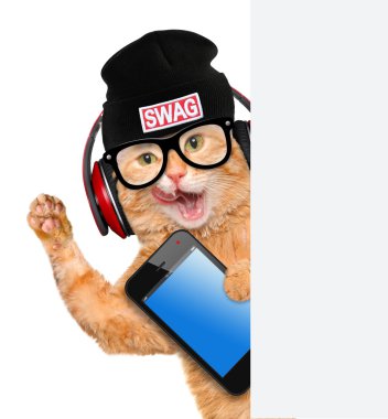 Kedi kulaklık.