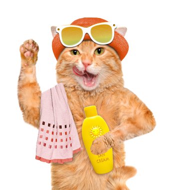 Güneş kremi ile kedi.
