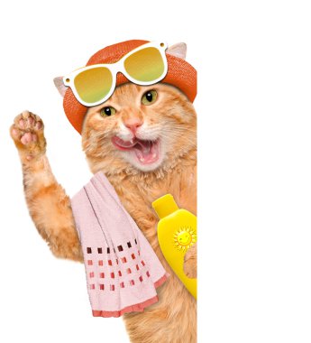 Güneş kremi ile kedi.