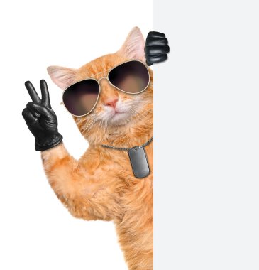 kedi ile barış parmak siyah deri