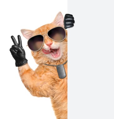 kedi ile barış parmak siyah deri