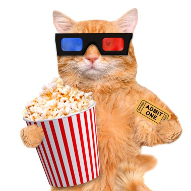 kedi film izleme