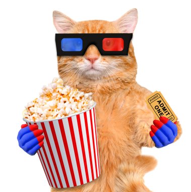 kedi film izleme