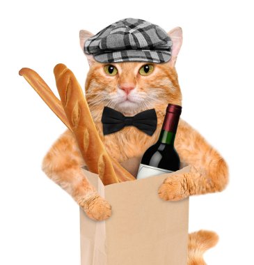 Bir şişe şarap ve ekmek ile kedi.