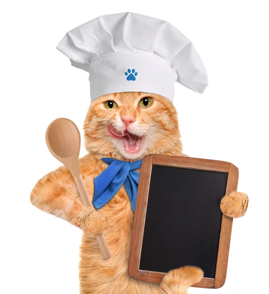 Chef gato . — Foto de Stock