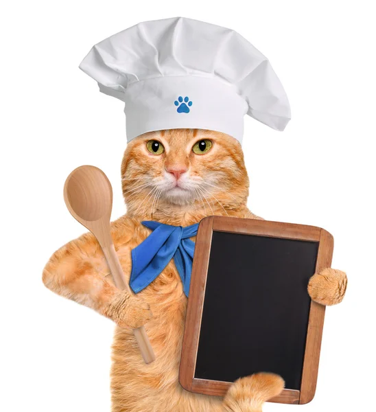 Kat chef-kok. — Stockfoto