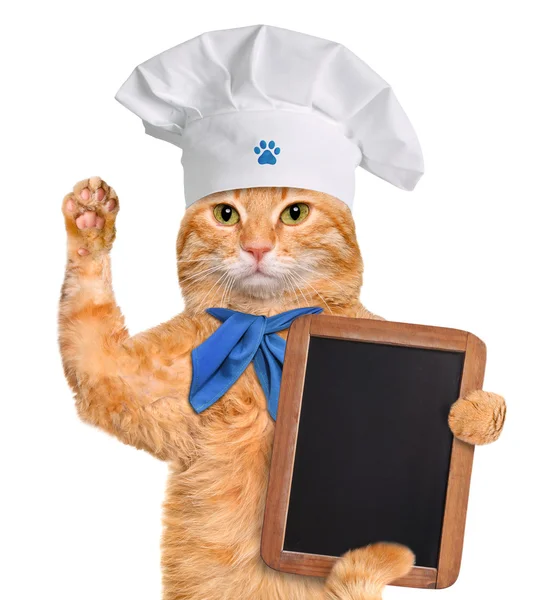 Cat chef. — Stock Photo, Image