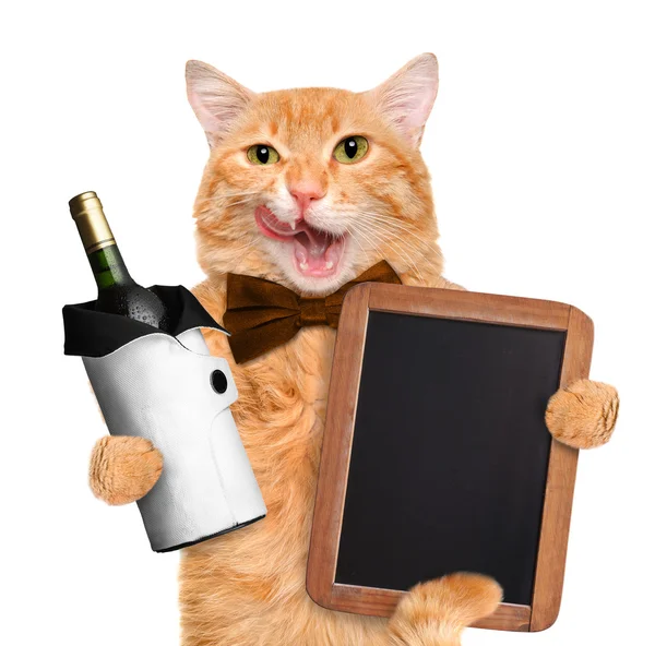 Gato com vinho . — Fotografia de Stock