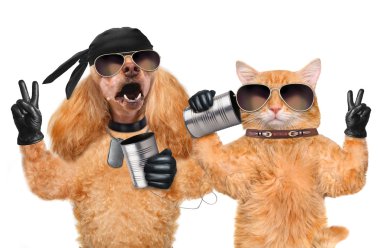 kedi köpek konserve ile telefon ile