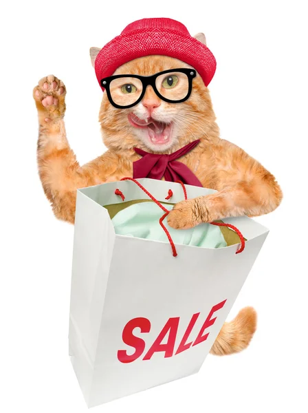 Katt. shopper. försäljning. — Stockfoto