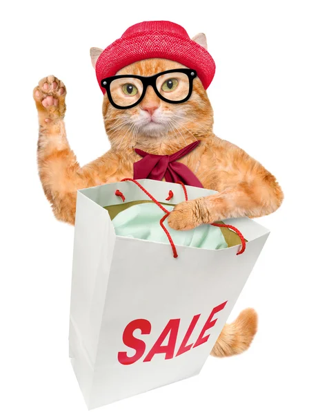 Un chat. Shopper. Ventes . — Photo