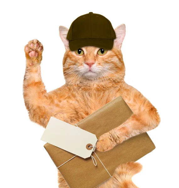 Gato com entrega de pacotes de papel marrom  . — Fotografia de Stock