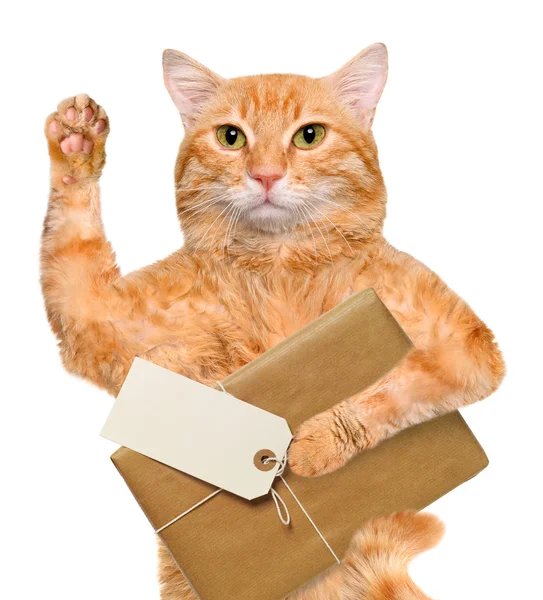 Gato con entrega de paquetes de papel marrón  . — Foto de Stock